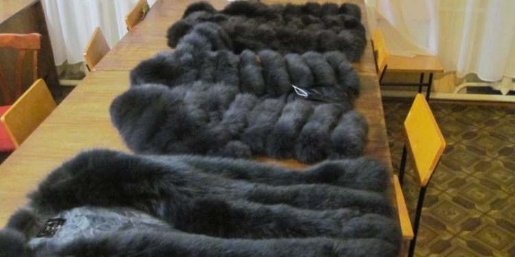 Четыре шубы пытался тайно ввезти из РФ гражданин в поезде Москва-Кишинев. Достались пограничникам