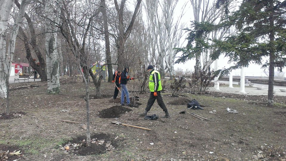 В Николаеве начали высаживать деревья - с такой «декабрьской» погодой можно 6