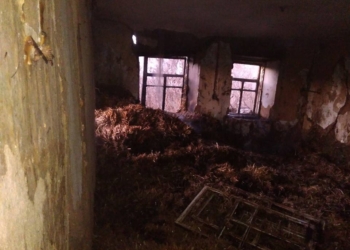 В вознесенской хозпостройке по непонятной причине загорелась солома