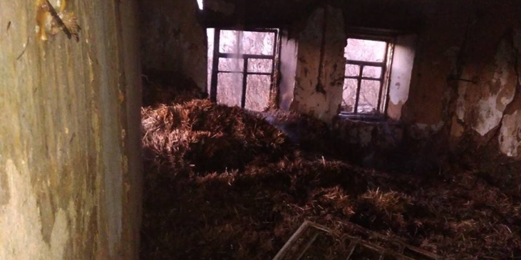 В вознесенской хозпостройке по непонятной причине загорелась солома