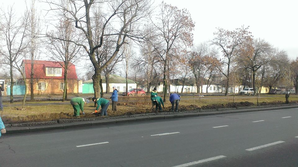 В Николаеве начали высаживать деревья - с такой «декабрьской» погодой можно 10