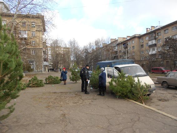 В Николаеве полицейские изъяли у торговцев 51 «незаконную» елку 10