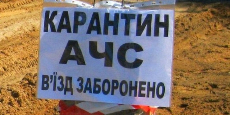 «Для борьбы с АЧС» – Польша построит забор на границе с Украиной и Беларусью