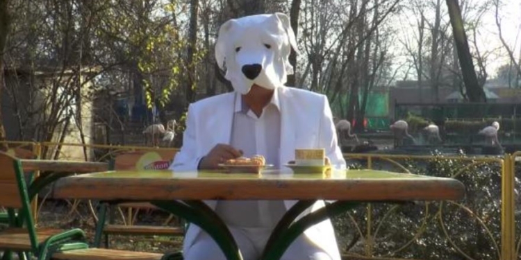 Будем плавать в шоколаде. Директор Одесского зоопарка в образе собаки поздравил с Новым годом