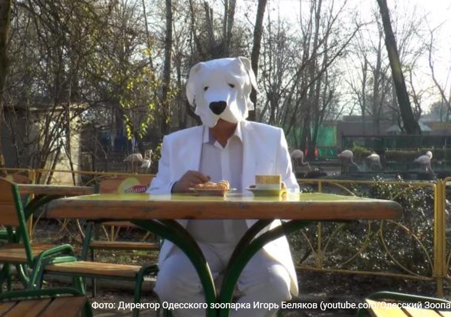 Будем плавать в шоколаде. Директор Одесского зоопарка в образе собаки поздравил с Новым годом 1