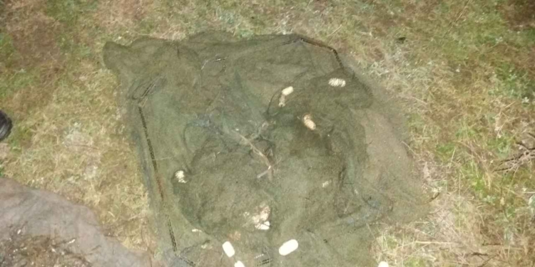 Николаевский рыбоохранный патруль “застукал” браконьеров с уловом – возле Матиясово