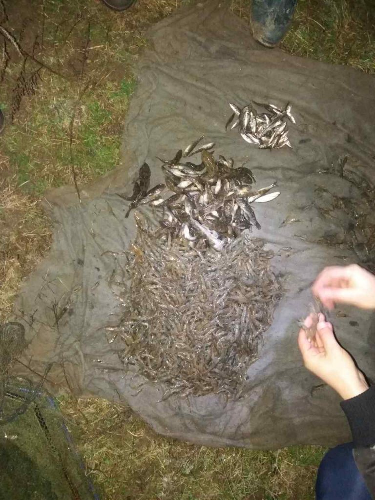Николаевский рыбоохранный патруль "застукал" браконьеров с уловом - возле Матиясово 5