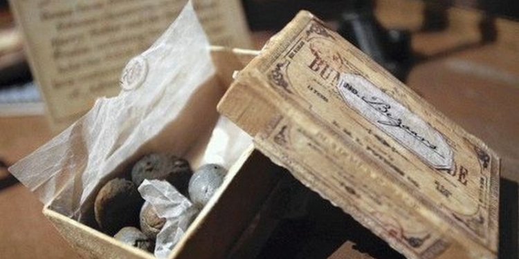 Китайский фермер нашел в своей свинье $600 тыс.