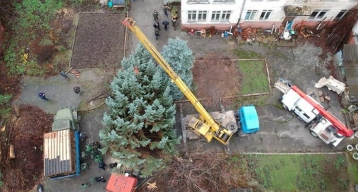 В Кишиневе пришлось заменять елку, купленную в Буковеле, на срубленную в собственном детском саду