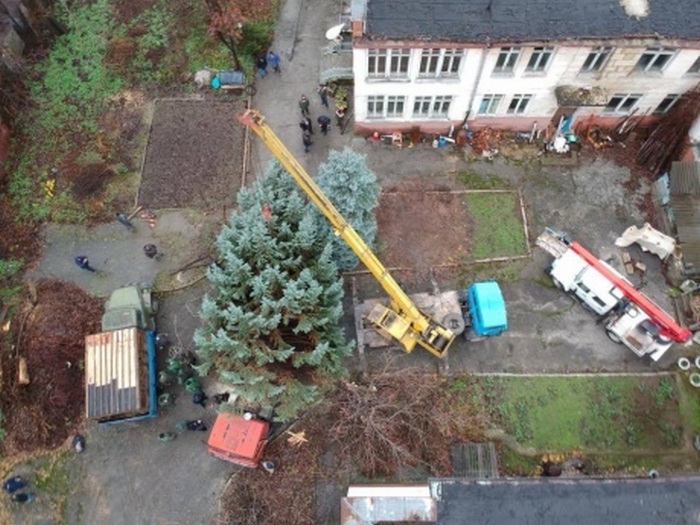 В Кишиневе пришлось заменять елку, купленную в Буковеле, на срубленную в собственном детском саду 3