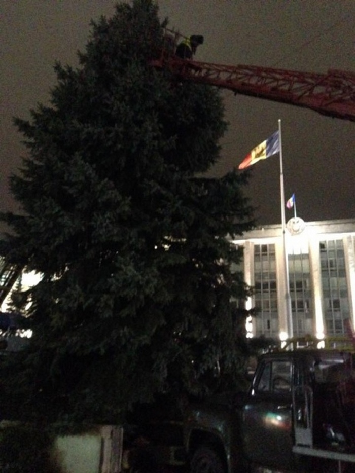В Кишиневе пришлось заменять елку, купленную в Буковеле, на срубленную в собственном детском саду 5