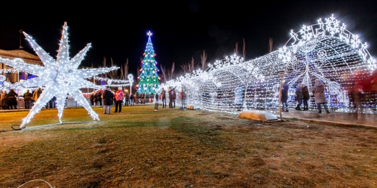 Самая-самая. Новая николаевская елка заняла первое место в Украине –  по цене