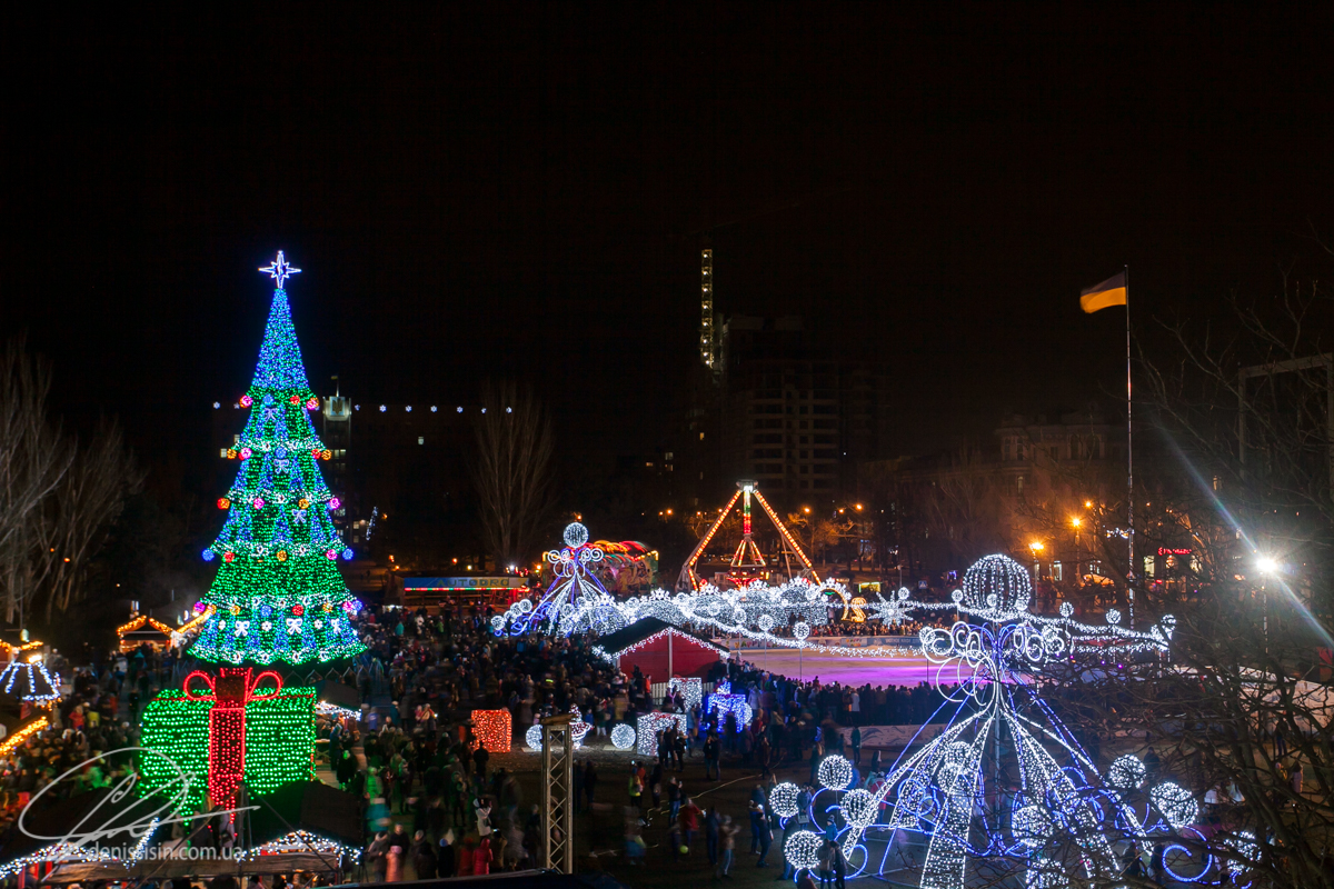 Самая-самая. Новая николаевская елка заняла первое место в Украине –  по цене