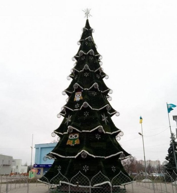 Самая-самая. Новая николаевская елка заняла первое место в Украине - по цене 1