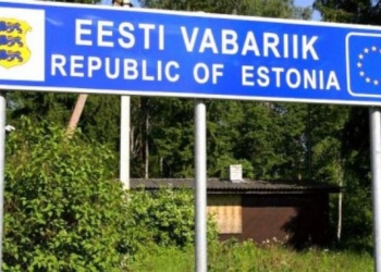 Украинцы в Эстонии попали в тройку лидеров по количеству зарегистрированных юридических лиц