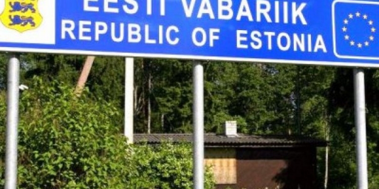 Украинцы в Эстонии попали в тройку лидеров по количеству зарегистрированных юридических лиц