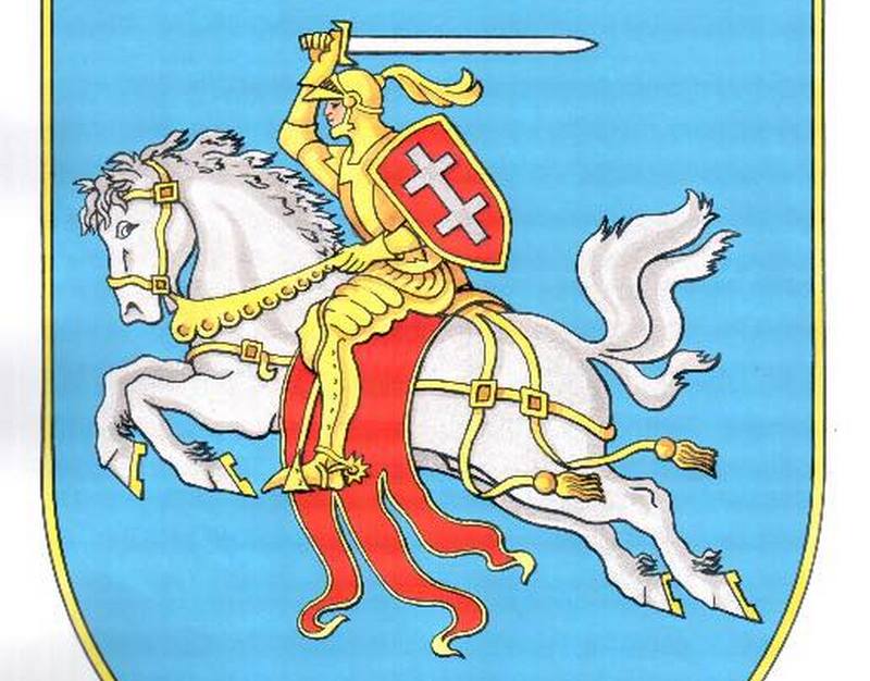 Витовский район получил новый герб: рыцарь в золотом на белом коне 5