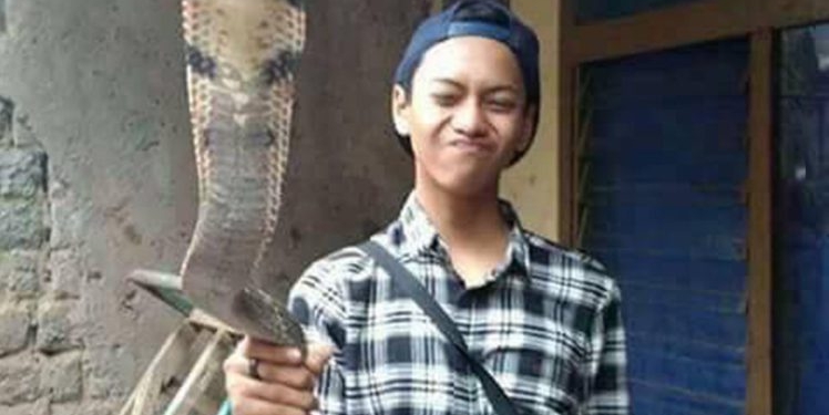 Укушенный коброй подросток, вместо обращения к медикам, искал советов в Сети. Но не успел