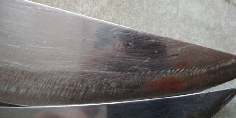 В Николаевской области во время ссоры жена едва не зарезала своего мужа