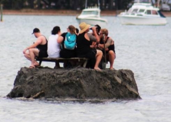 Чтобы выпить в Новый год, новозеландцы построили остров