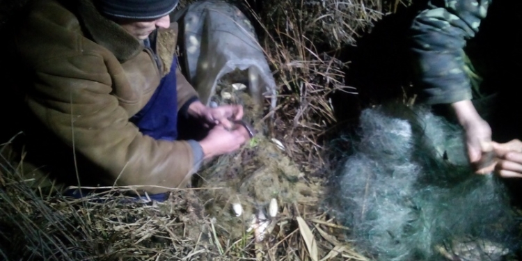 «Маленькая рыбка, золотой карась, где твоя улыбка, что была вчерась?»: Николаевский рыбоохранный патруль поймал очередных браконьеров