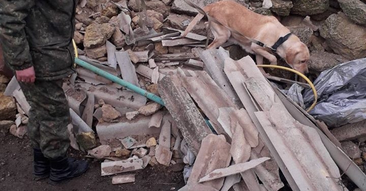 Житель Баштанки привез из зоны АТО боеприпасы и спрятал. Но полицейская собака нашла