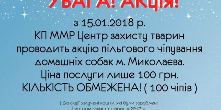 В николаевском КП «Центр защиты животных» с понедельника акция – домашнего любимца чипируют всего за 100 грн.
