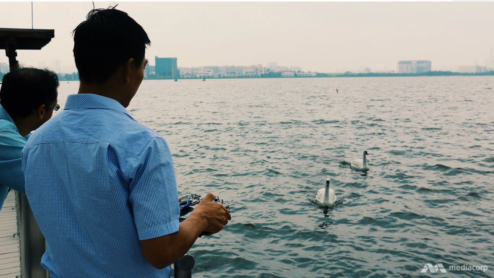 В Сингапуре будут использовать лебедей-роботов для контроля за чистотой воды 3