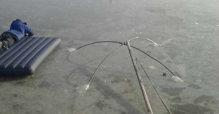 На надувном матрасе по льду: как на Николаевщине лебедя спасли