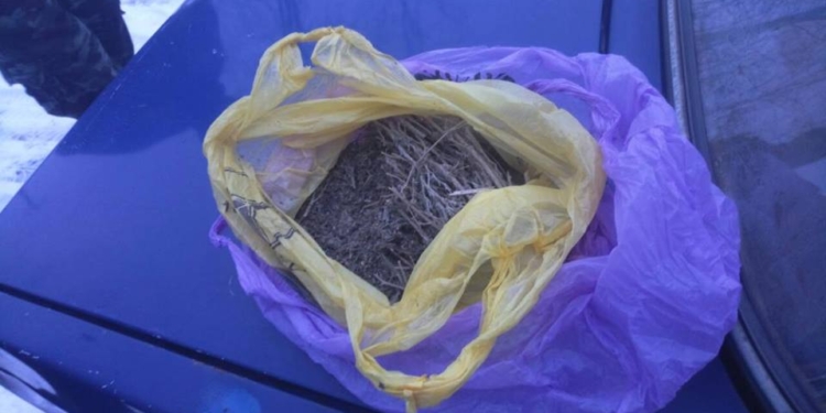 Житель Еланецкого района сам выдал полицейским 200 граммов марихуаны