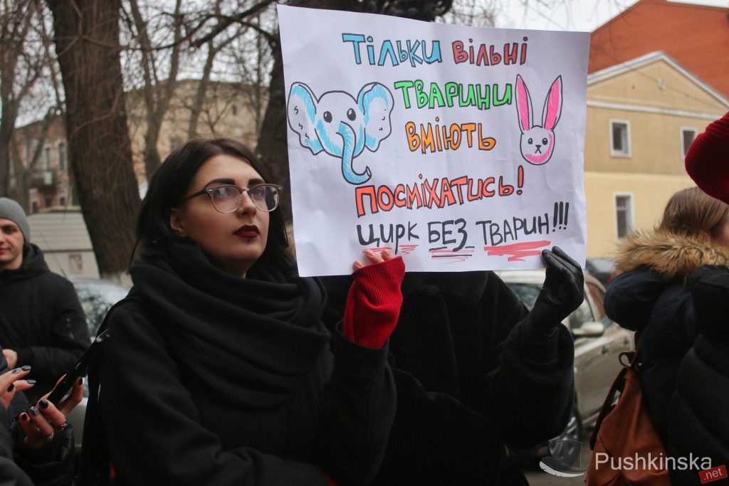 В Одессе протестовали против эксплуатации животных в цирках – не обошлось без потасовок 5