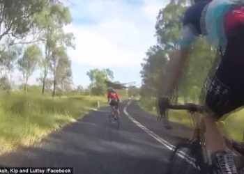 И велодорожек у нас нет, и хорошо, что мы не в Австралии: что может быть с велосипедистом, встретившимся с кенгуру на трассе