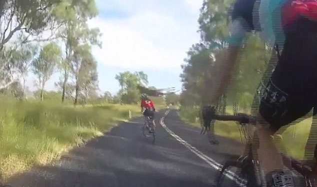 И велодорожек у нас нет, и хорошо, что мы не в Австралии: что может быть с велосипедистом, встретившимся с кенгуру на трассе