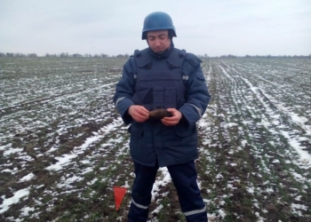 В Николаевской области обезвредили старую минометную мину