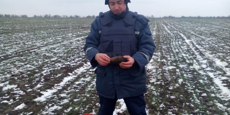 В Николаевской области обезвредили старую минометную мину