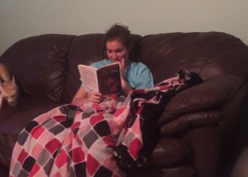 Эту бы энергию, да в мирных целях… Как непоседливый фенек пытается добиться внимания своей хозяйки