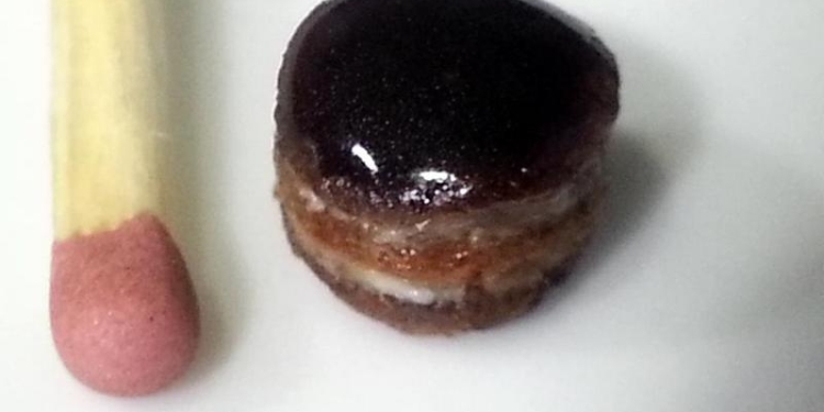 Во Львове школьница испекла микро-торт и попала в Книгу рекордов Украины