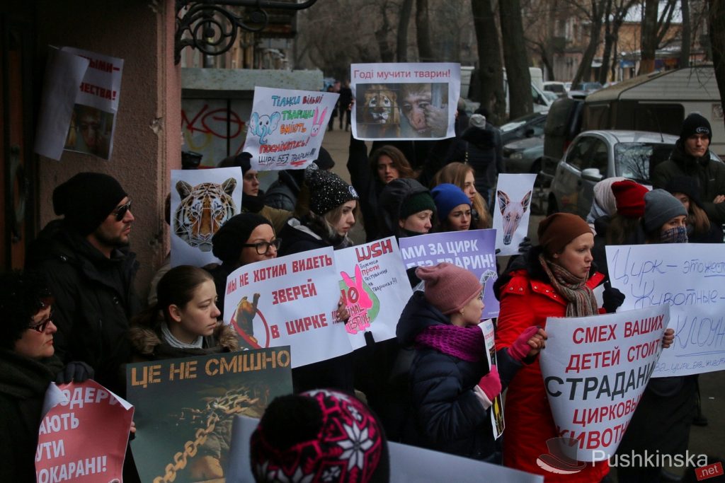 В Одессе протестовали против эксплуатации животных в цирках – не обошлось без потасовок 1