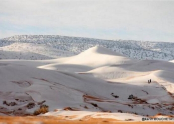 Жаркая Африка? В Сахаре сегодня выпал снег