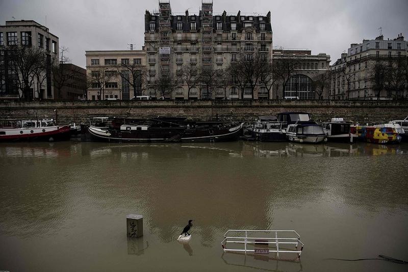 В Париже Сена вышла из берегов – пришлось на неделю закрыть 7 станций метро 1