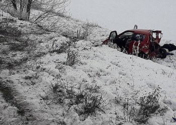 В Николаевской области Suzuki после столкновения с фурой оказался в кювете: водитель легковушки попала в больницу, а её мать погибла