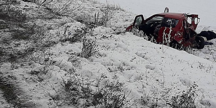 В Николаевской области Suzuki после столкновения с фурой оказался в кювете: водитель легковушки попала в больницу, а её мать погибла