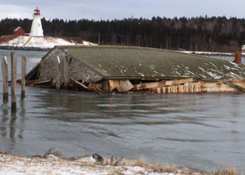 Американцы борются за возвращение на родину исторического рыбзавода, который штормом унесло в Канаду