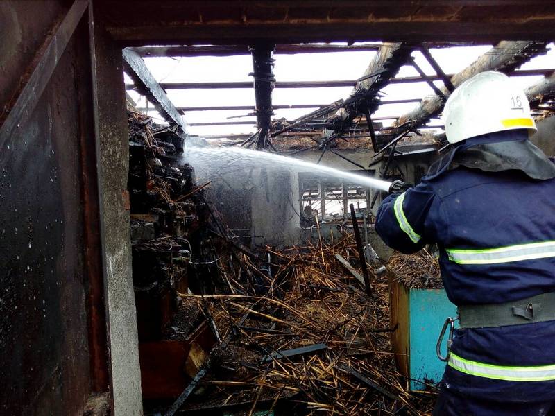 В Николаевской области спасатели ликвидировали пожар гаража, не дав огню распространиться на жилой дом 1