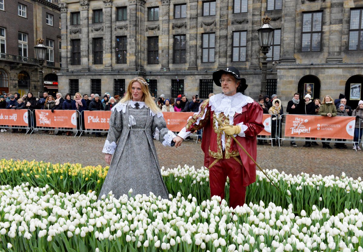 Скоро весна. В Амстердаме прошел День тюльпанов – желающим раздали 200 тыс. цветущих луковиц