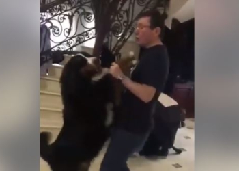 Генпрокурор Луценко озадачил Сеть выбором партнерши по танцам