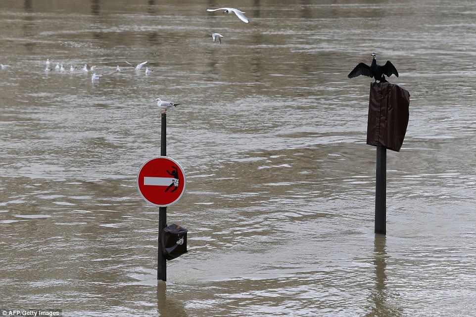 После сильных дождей во Франции разлилась Сена: пострадали уже 240 городов, а в Париже эвакуировали 1,5 тыс.человек и закрыли один этаж Лувра 5