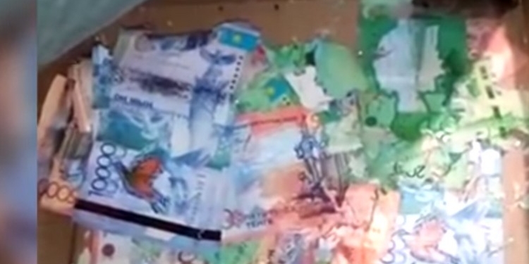 Поймали на месте преступления: пара мышей сгрызла весь запас банкнот в банкомате