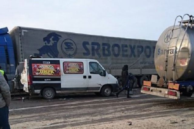 На Львовщине в ДТП попал фургон с цирковыми лошадьми. Одна погибла 1