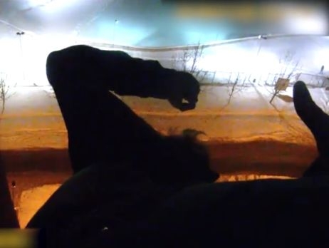 В Днепре полицейские поймали за ногу самоубийцу, прыгнувшего с 10 этажа